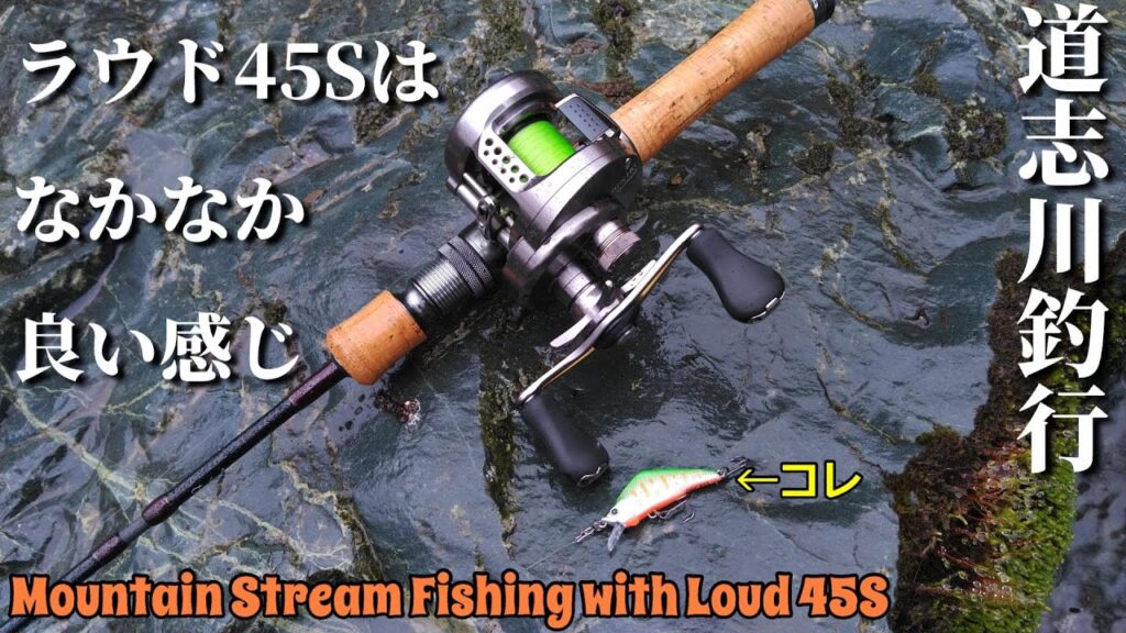【インプレ&実釣】ティムコのラウド45Sを道志川で使ってみた【ハイアピールで良く釣れる】