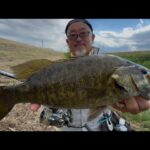 小畔川ランガンスモールマウスバス釣り&びん沼 4Hit 🐟🎣