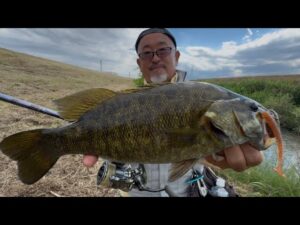 小畔川ランガンスモールマウスバス釣り&びん沼 4Hit 🐟🎣