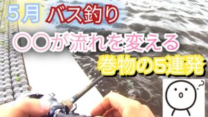 【バス釣り】【大江川】より隣の川、野池のが釣れるんじゃない説？　苦しい展開から〇〇が流れを変える。怒涛の5連発に大満足！