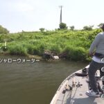 5月のマディーシャローウォーター・千葉県印旛沼【釣りビジョン番組紹介】