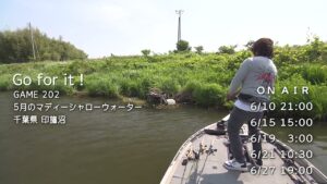 5月のマディーシャローウォーター・千葉県印旛沼【釣りビジョン番組紹介】