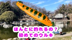 ウルキ50 使ってみたら 新感覚！【管理釣り場】