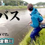 おかっぱりリバー・倉敷川水系で50アップを狙う 『follow my F 6』【釣りビジョン】