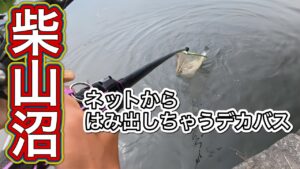 柴山沼本湖で50upのモンスター降臨！！！【バス釣り】