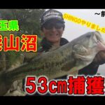 埼玉県柴山沼バス釣りで53㎝が出た！前編
