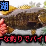 【桧原湖バス釣り】【6月】スローな釣りでバイト多発！