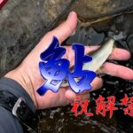 6 16 祝解禁! 富山県下各河川鮎釣り