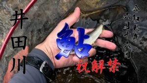 6 16 祝解禁! 富山県下各河川鮎釣り