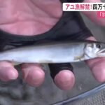 四万十川など6河川でアユ漁解禁！カワウ被害対策で前倒しも【高知】 (25/05/15 11:30)