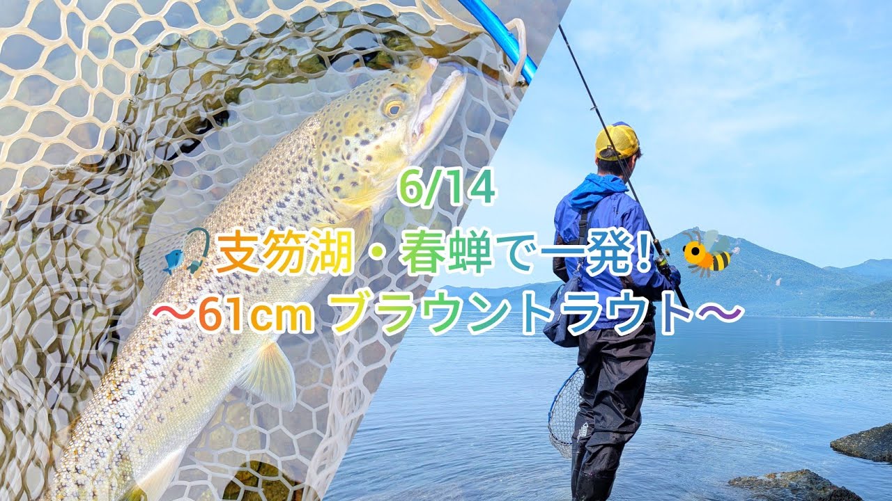 6/14 🎣聖地・支笏湖🏕️🐟️✨〜ブラウントラウト61cm！春蝉に一発バコンッ！🐝ありがとう🥺✨〜