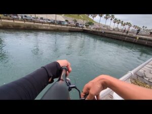 本日直近最速情報📢6月15日(日)【浜名湖サビキ釣り】🎣