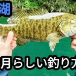【桧原湖バス釣り】6月らしい釣り方でバイトが増えてきました。【6月中旬】