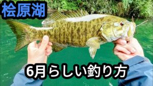 【桧原湖バス釣り】6月らしい釣り方でバイトが増えてきました。【6月中旬】