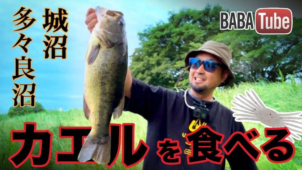 BABATube【多々良沼・城沼】カエル食いはミニガニで一撃！？