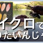 ひたすらBF✨マイクロでデカいのを釣りたいんじゃ【エリアトラウト】【管理釣り場】【裾野フィッシングパーク】【すそのフィッシングパーク】