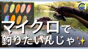 ひたすらBF✨マイクロでデカいのを釣りたいんじゃ【エリアトラウト】【管理釣り場】【裾野フィッシングパーク】【すそのフィッシングパーク】
