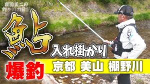 【鮎】爆釣 初心者に勇気を与えるオジサンの入れ掛かり 美山棚野川 背掛かりDNA鮎 あゆ友釣り 森園正二の釣りバカ日記42 泳がせ