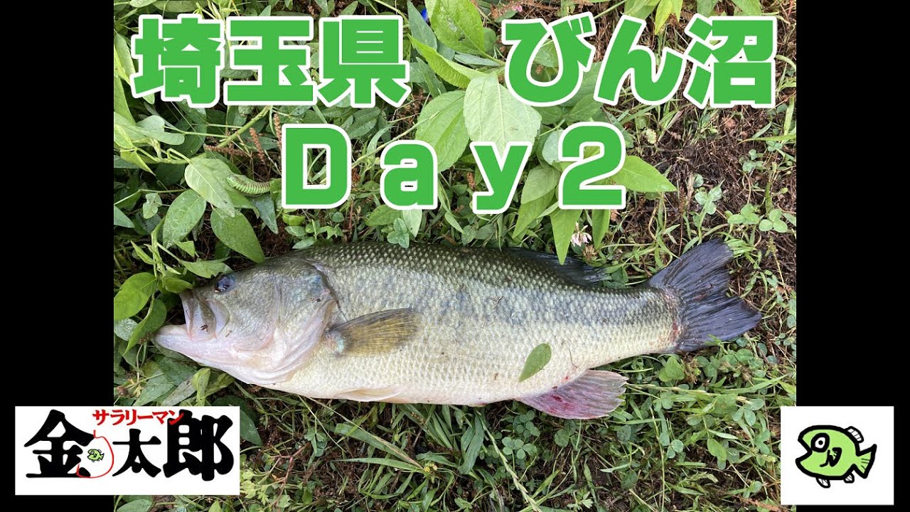 【バス釣り】びん沼修行Day2　ついにやったぞ！おかあちゃーん！！