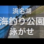 【浜名湖】海釣り公園 泳がせ サビキ 一投一発HIT 本流狙い お魚パラダイス 釣り天国 アジ イワシ サバ サッパ