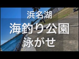 【浜名湖】海釣り公園 泳がせ サビキ 一投一発HIT 本流狙い お魚パラダイス 釣り天国 アジ イワシ サバ サッパ