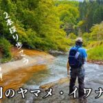 【渓流ルアー】I川支流でヤマメ・イワナ釣り【会津・阿賀川水系】