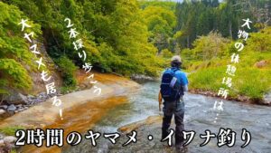 【渓流ルアー】I川支流でヤマメ・イワナ釣り【会津・阿賀川水系】