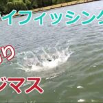 管理釣り場でのニジマスのフライフィッシング－Ryou's Outdoor Life。