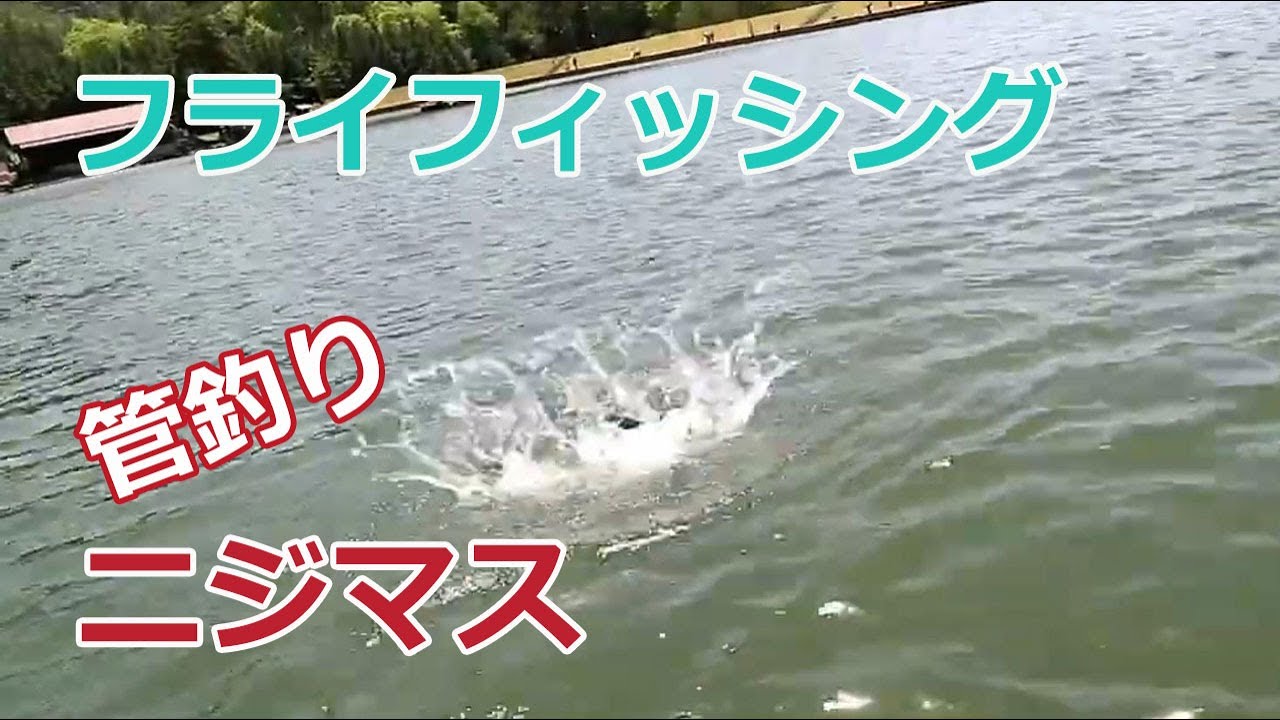 管理釣り場でのニジマスのフライフィッシング-Ryou's Outdoor Life。