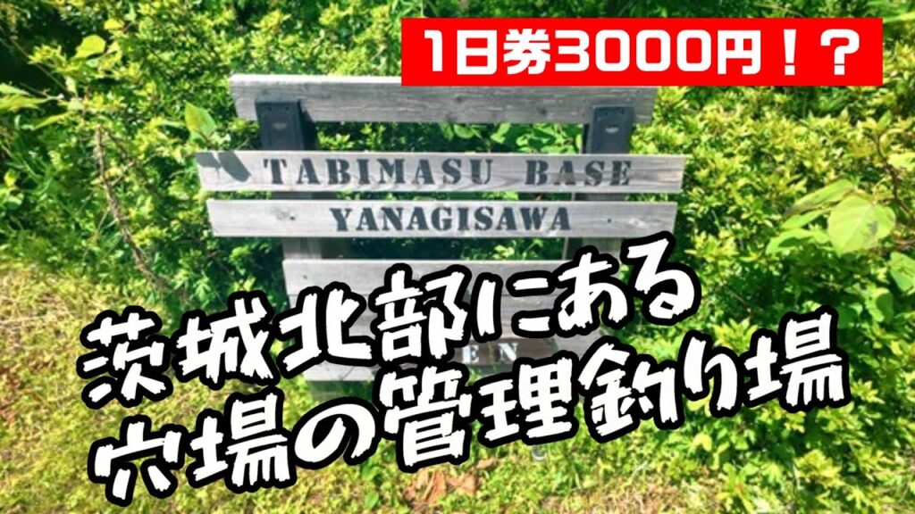 茨城北部にあるお客さんが来ない管理釣り場がとんでもなかった【TABIMASU BASE】/A fishing pond with no customers