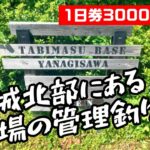 茨城北部にあるお客さんが来ない管理釣り場がとんでもなかった【TABIMASU BASE】/A fishing pond with no customers