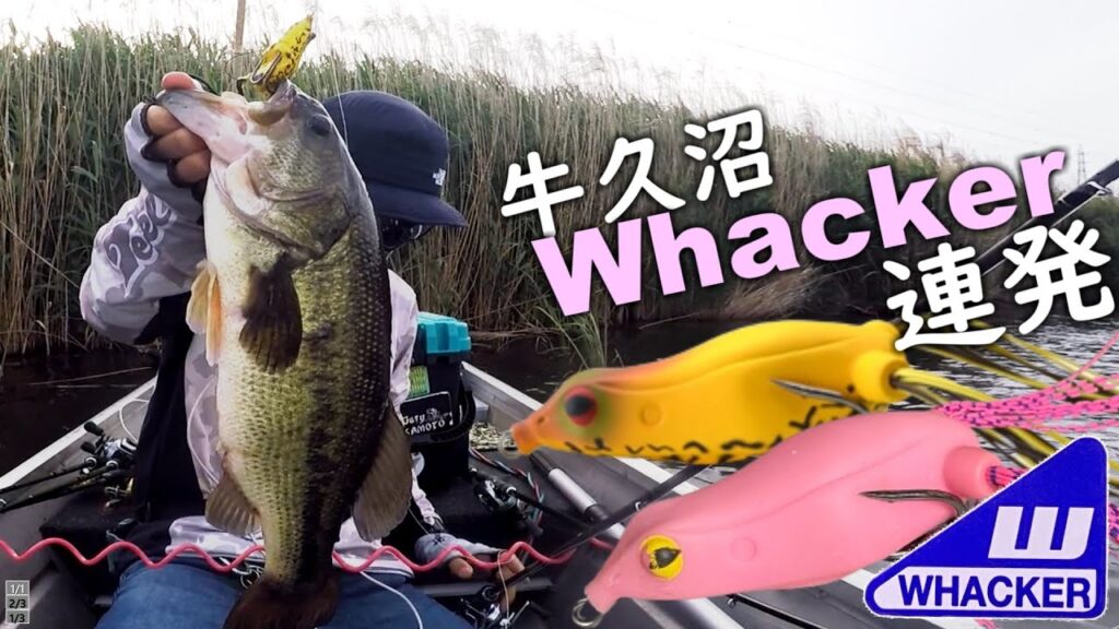 【牛久沼×フロッグ】ワッカー連発！牛久のアフターはやはりコレ。【Teckel】2025.5.22