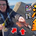 【Vlog】生物系YouTuberに最強の海釣りスポット連れてきてもらったら奇跡が起きたｗｗ【オパシ/あらかわ/柊みゅう/ななか】