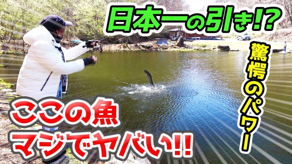 デカマスしかいない！？衝撃エリアを完全攻略【エリアトラウト・管理釣り場・フィッシングバムズWaDoNaワドナ】／HartDesign(ハートデザイン)【Vol.410】