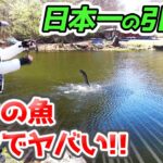 デカマスしかいない！？衝撃エリアを完全攻略【エリアトラウト・管理釣り場・フィッシングバムズWaDoNaワドナ】／HartDesign(ハートデザイン)【Vol.410】