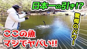 デカマスしかいない!?衝撃エリアを完全攻略【エリアトラウト・管理釣り場・フィッシングバムズWaDoNaワドナ】/HartDesign(ハートデザイン)【Vol.410】
