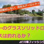 ダイソーのグラスソリッドロッドでニジマスは釣れるか？  【at 川場フィッシングプラザ2025 ⑬】