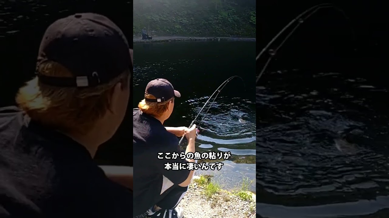 魚の引きがヤバいです!/あいづフィッシングエリア #エリアトラウト #fishing #釣り #アウトドア #釣り堀 #管理釣り場