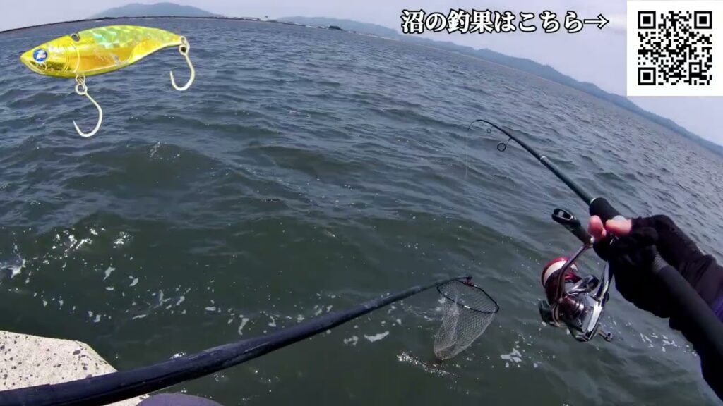 春/夏のデイシーバスゲームでハマるルアーを探そう #釣り #fishing