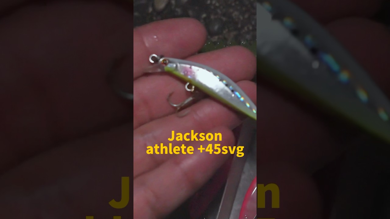 何でもいいから釣りたい時はコレ！#釣り #fishing #fishinglife