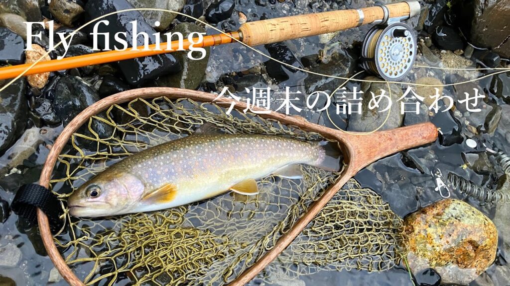セミを掬ったり諸々〜今週末の釣りの抜粋 #フライフィッシング #管釣りフライ #イワナ #flyfishing