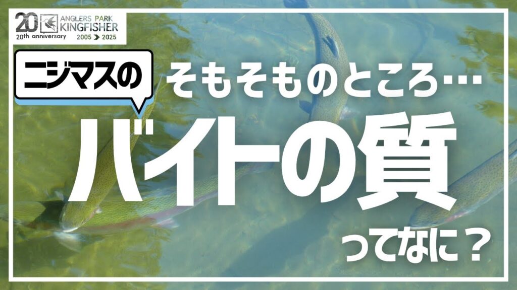 【エリアトラウトの悩み】そもそも「バイトの質」ってなに？ in キングフィッシャー