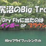 フライフィッシング in大尻沼