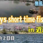 【バス釣り】２日間短時間釣行in近藤沼