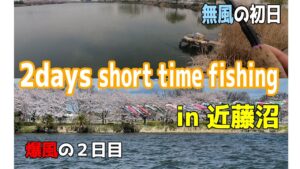 【バス釣り】2日間短時間釣行in近藤沼