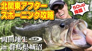 【城沼】北関東アフタースポーニング攻略！岡田翔生 in 群馬県城沼で50UP降臨！【オカショー】