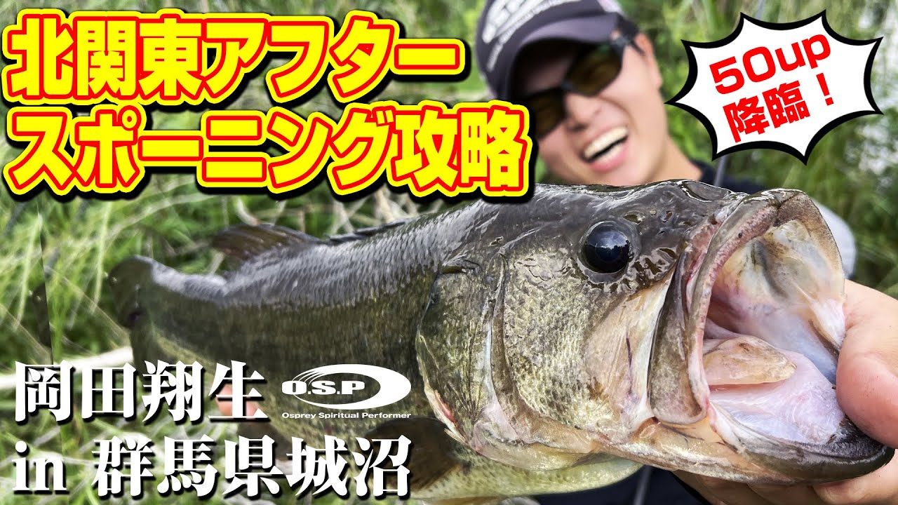 【城沼】北関東アフタースポーニング攻略！岡田翔生 in 群馬県城沼で50UP降臨！【オカショー】