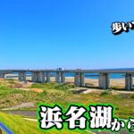 浜名湖でサビキ後、調子乗ってショアジギングに行くと・・・釣れた魚をその場で喰う🐟in遠州灘、舞阪サーフ【釣行日2025/06/05(木)】