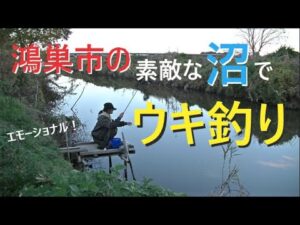 鴻巣市の素敵な沼でウキ釣り【鴻巣市】☆smallfishing in Saitama Japan☆