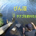 びん沼デビュー（小物釣り）【富士見市】☆smallfishing in Saitama  Japan☆
